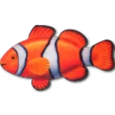 Logo hAAi