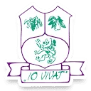 Logo Io Vivat Nostrorum Sanitas