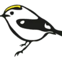 Logo Goldcrest Nature Tours
