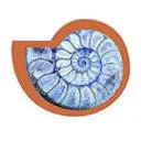Logo Carla van der Burg Uitvaartverzorging