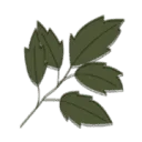 Logo landgoed de Geer