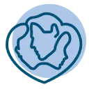 Logo Solution Safari