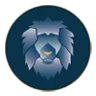 Logo Citys Student Consultancy Groningen