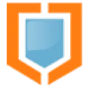 Logo Vascular Infusion Technology VIT
