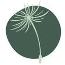 Logo Studio STRT