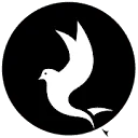 Logo Break Free Films