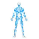 Logo Fysiom Fysiotherapie