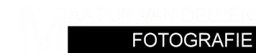 Logo Martijn van Dellen Fotografie