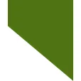 Logo Woonstichting 'thuis