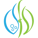 Logo Seaweed Food Solutions