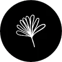 Logo Ronaltree