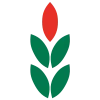 Logo H Visser Hoveniers