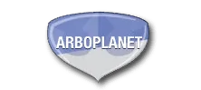 Logo Boer Organisatie Advies