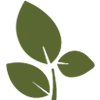 Logo Natuurtrainingen