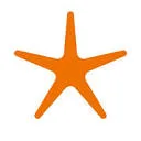 Logo Stichting Spark to Learn