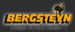 Logo van Opel Bergsteyn