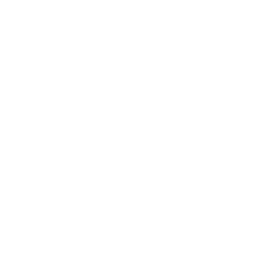 Logo Little Concepts