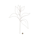 Logo van EVOLVE
