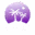 Logo Mi Amor NL