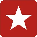 Logo Bourgini