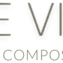 Logo Stone Visions