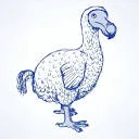 Logo Edelsmederij De Blauwe Dodo