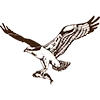 Logo Osprey Group