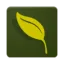 Logo Willemsen Bloemen Apeldoorn B.V.