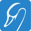 Logo Pap Team
