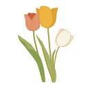 Logo The Cosmetic Shop Europe B2C Marketplace