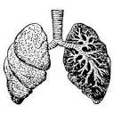Logo Mr Breath Ademcoaching