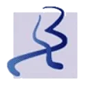 Logo Bruma AND Partners