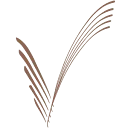 Logo Bakkerij Vreugdenhil