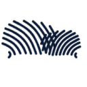 Logo De Taaltrainer