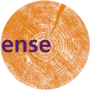 Logo Essense Training en Advies