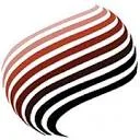 Logo McNess Holding