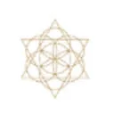 Logo Living Chi