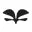 Logo CAES