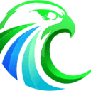 Logo Falcon Focus Media