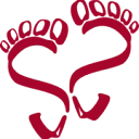 Logo Voor de voet-reflex