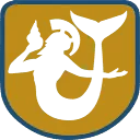 Logo Raynautic boats and more