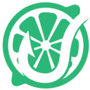 Logo LemonHook Agency