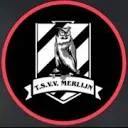 Logo TSVV Merlijn