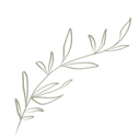 Logo In Liefde Geboren