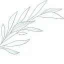 Logo Simone Brockhuis - Feel Your Mind