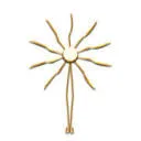 Logo Lampetia