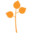 Logo Birch Consultants