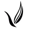 Logo Achoally Studio