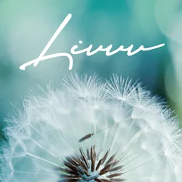 Logo Livvv