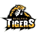 Logo Basketbalvereniging BV Alphia Tigers